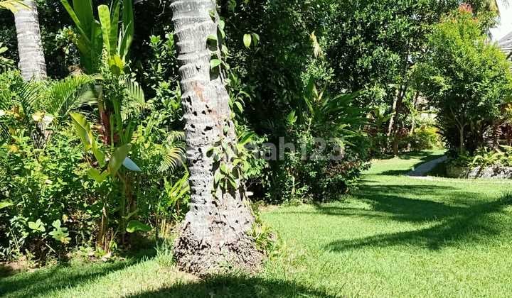 Clove land with sea view Clove land with sea view