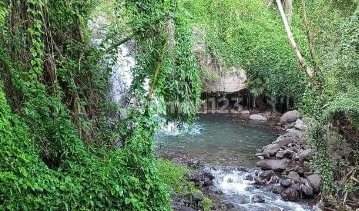 perkebunan banyuatis view sawah dan perbukitan