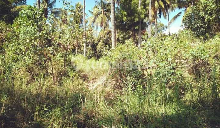 Beach front north land good for villa