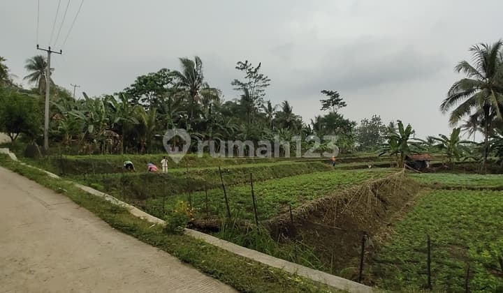Tanah Sawah/Kebun di Ligarmukti Klapanunggal Bogor