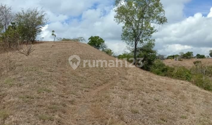 desa kubutambahan view laut