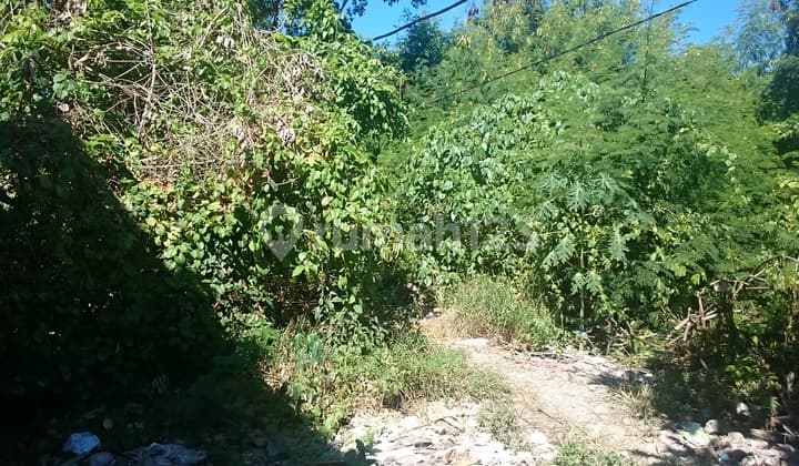 Tanah Kosong di Desa Tonja, Denpasar, Bali