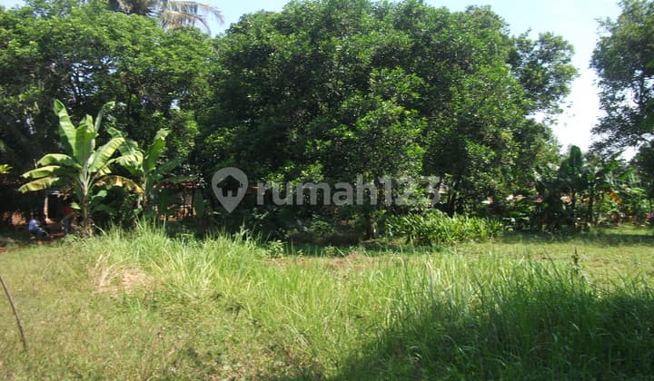 Vacant Land Near Taman Buah Mekarsari, Bogor, West Java