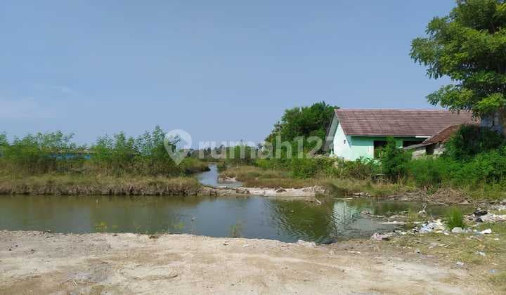 Tanah Kosong Sigeger Kasemen