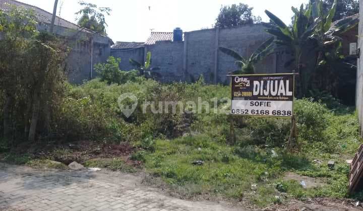 Tanah Kavling Ds. Lebak Wana Sankyu Kramatwatu