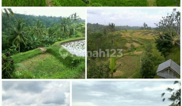 4 hectare land in Ubud near Hanging garden