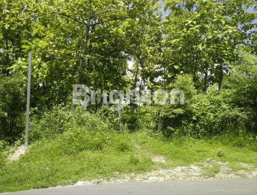 Kavling Rengel, Tuban. Kavling Rengel, Tuban.