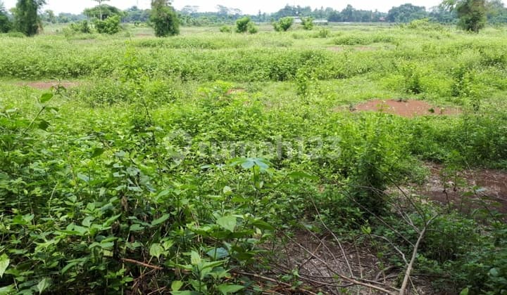 Akong Tangerang industrial land