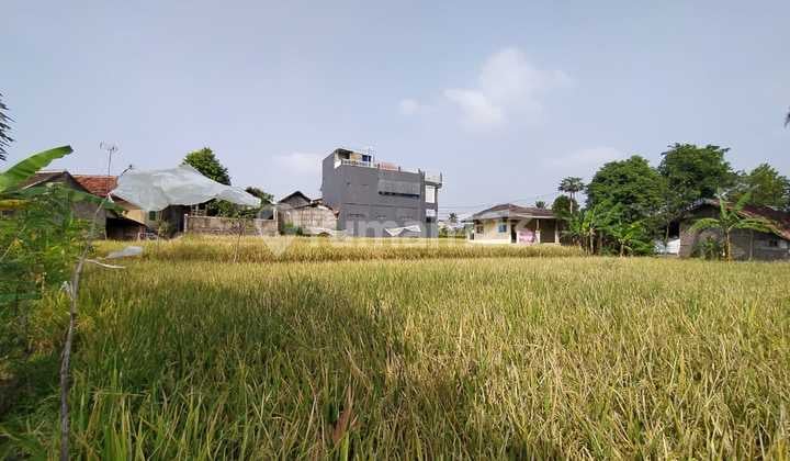 Tanah Sawah, Pusat Kota Cianjur