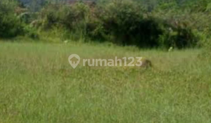 Tanah di Cariu,Bogor,Luas 2 hektar,harga : 500 rb/m