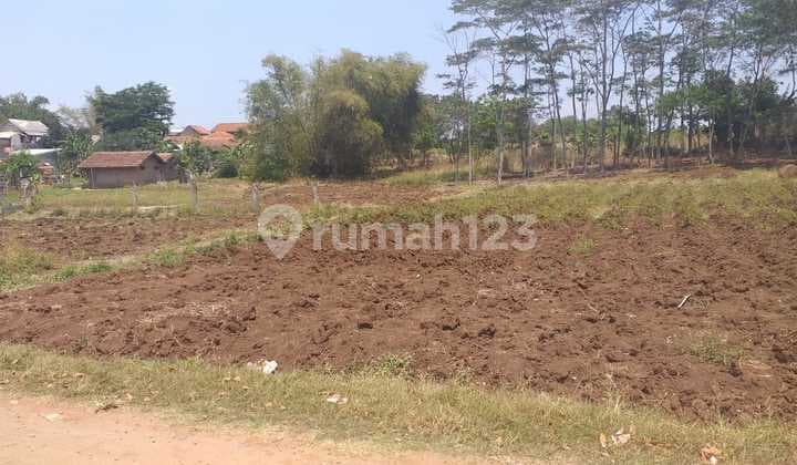Tanah luas di Cipacing, Jatinangor