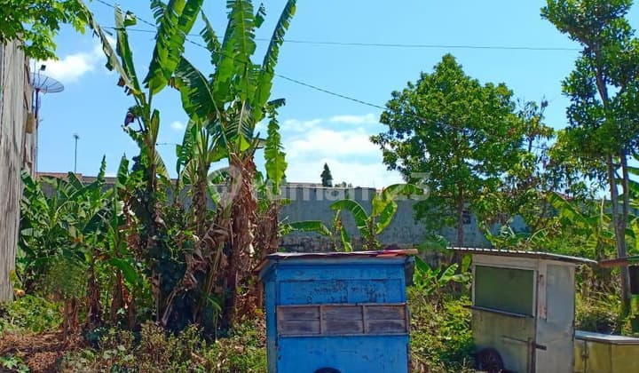 Tanah Dekat Uksw, Sidorejo, Salatiga