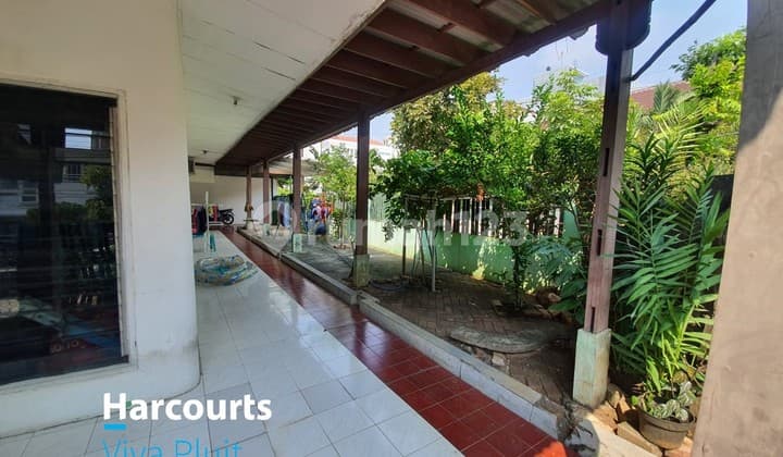 Rumah Tua di Pluit Timur, Jakarta Utara. Hitung Tanah Saja!