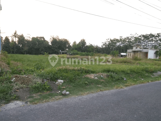 Asphalt-covered land on Gitogati Street