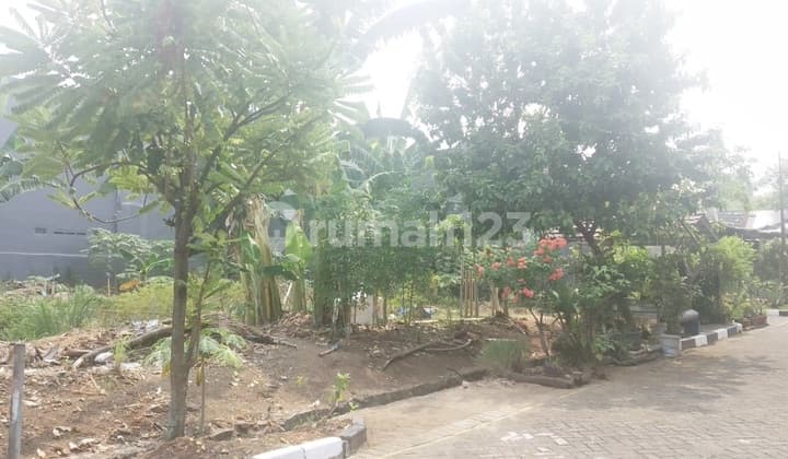 HARGA MURAH!! Tanah Kavling Jl. Buana Gardenia Lokasi OK