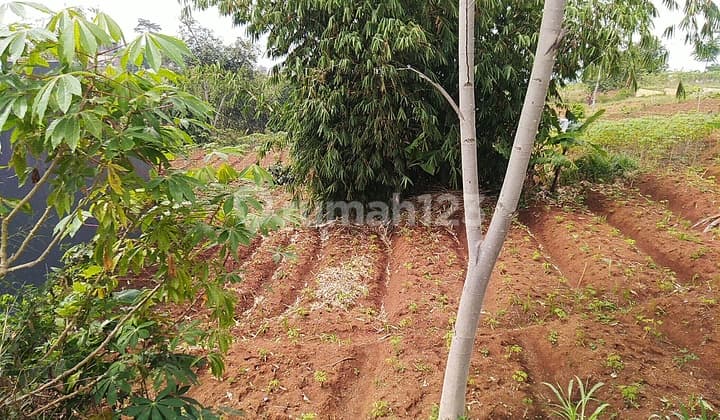 Tanah kavling murah di komplek area cibangkonol cibiru bandung