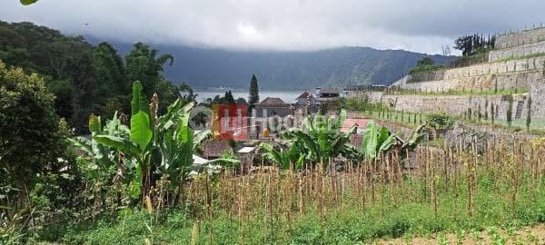 Tanah Menarik di Bedugul Dekat Danau Bratan dan Kebun Raya Bali