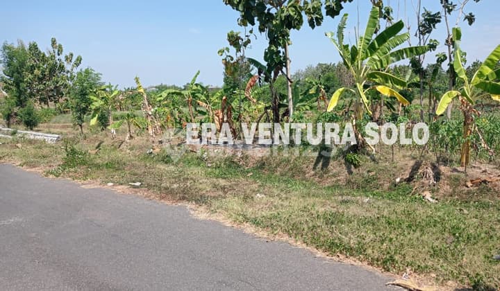 Tanah cocok untuk Perumahan Banyudono