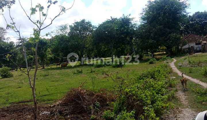 Kavling Puri Gading Jimbaran, Bali