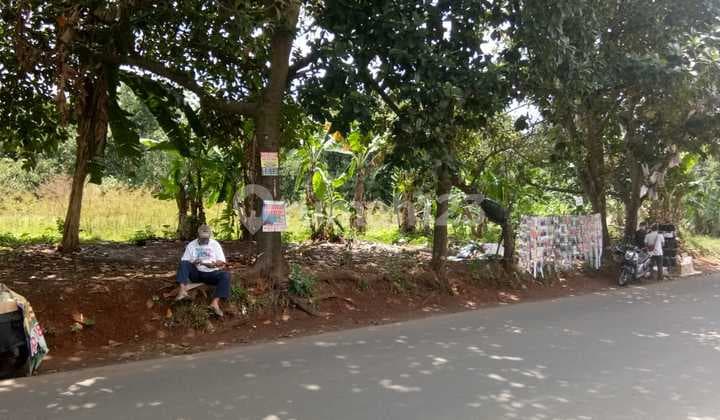 LAND EXTENSIVE LOCATION BY THE ROAD @RAWA DENOK (EW)