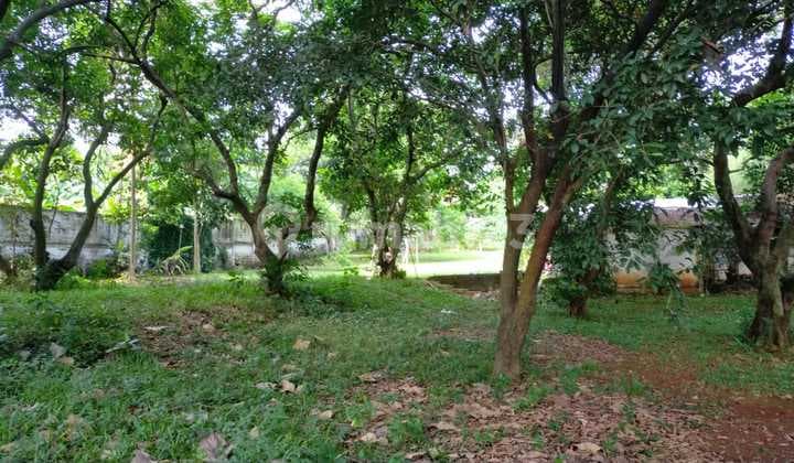 Kavling Tanah di Cinere, Lokasi di Jl. Garuda Lt.1000m an