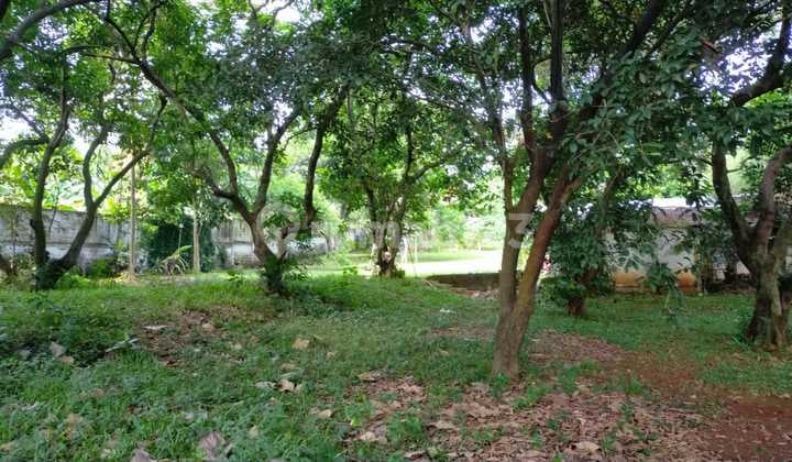Kavling Tanah di Cinere, Lokasi di Jl. Garuda Lt.1000m an