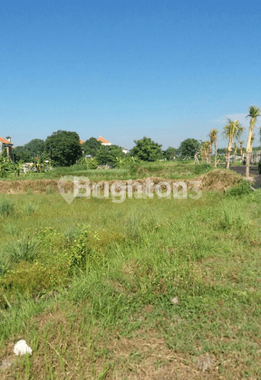 TANAH DI SANUR OCEAN VIEW, SECTOR GOLF