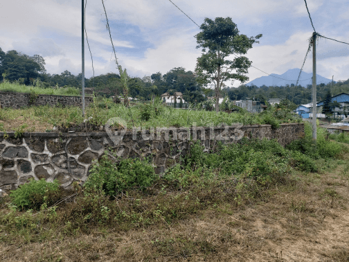 Cool air land with a beautiful view on the Kopeng Salatiga highway.
