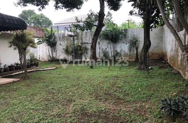 For Sale in Cinere Spacious Yard, Lush, Well-Maintained House
