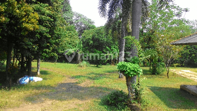 Tanah Darat dan Datar Pinggir Jalan Raya