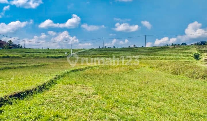 TANAH STRATEGIS VIEW SAWAH TABANAN