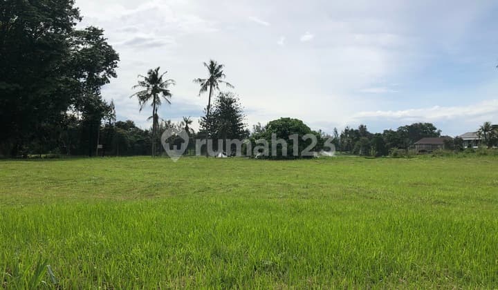 Tanah Kavling View Golf Langsung Kawasan Golf Gading Serpong (NEGOTIABLE PRICE)