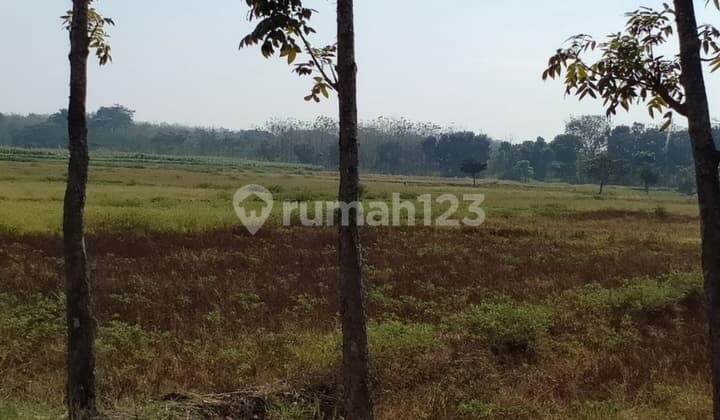 Tanah Industri Nganjuk