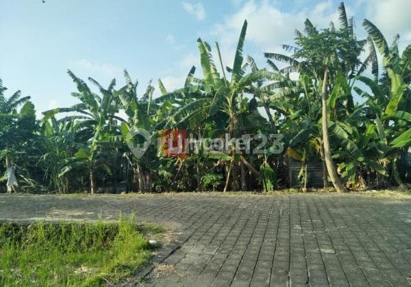 Tanah 6 Are di Jl. Uma Lalang Cemagi Mengwi Badung