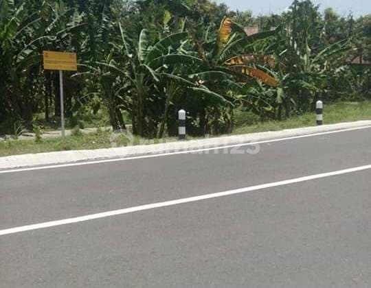 Tanah di Plot Industri Nol Provinsi di Ploso, Jombang