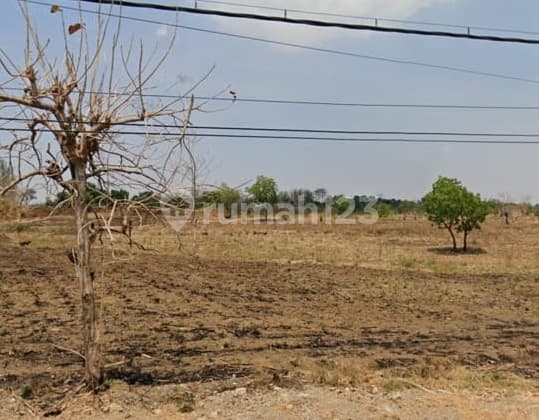 Tanah Kavling Industri Desa Kembang Bahu Mantup - Lamongan