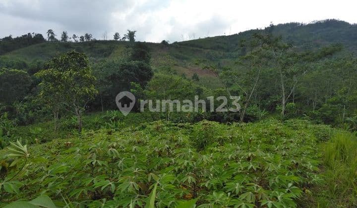 Tanah Super Murah, Cck Utk Invest, Resort, Geopark Ciletuh. 0920