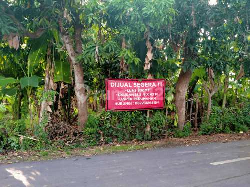 Great Land In Lovina Down The Price!! Cheap Land Singaraja