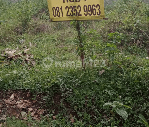 Tanah di Daerah Sawojajar Malang