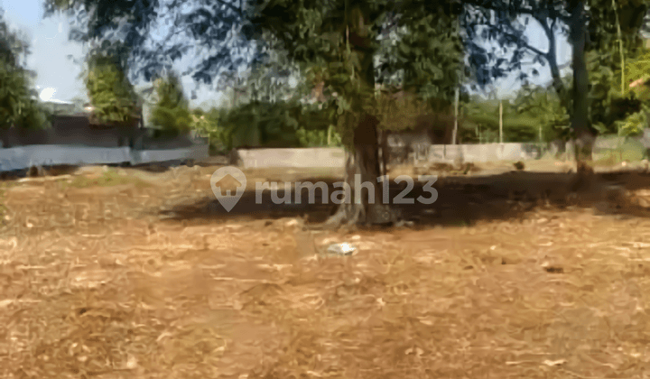TANAH LUAS STRATEGIS JALAN UTAMA PANTAI BERAWA