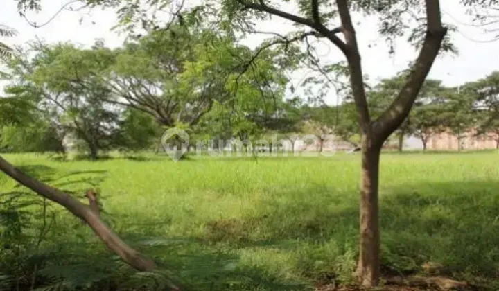 Meditation lot resort Pantai Indah Kapuk with lake view Meditation lot resort Pantai Indah Kapuk with lake view