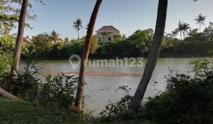 Tanah View Muara Sungai Di Pasut Tabanan Bali