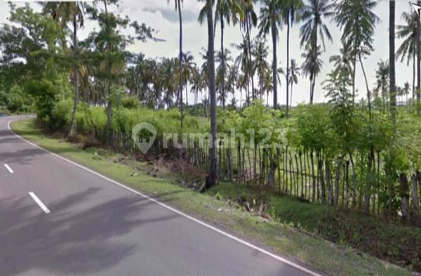 Tanah Kosong Beachfront Luas di Badas Sumbawa Nusa Tenggara Barat