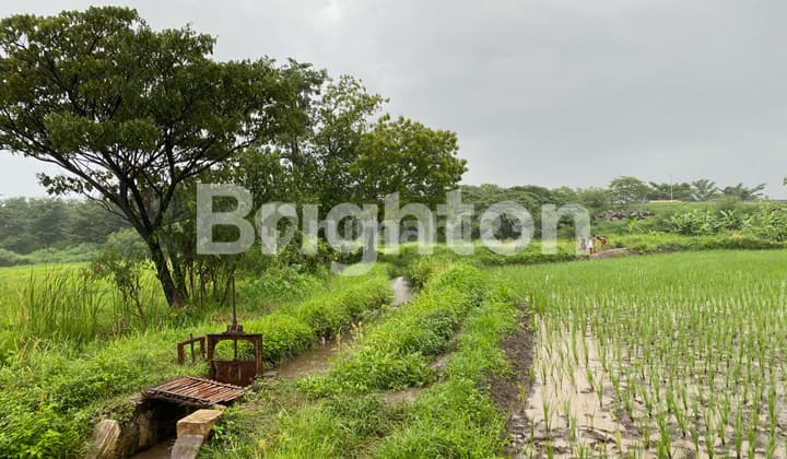 TANAH KOMERSIAL AREA PASURUAN