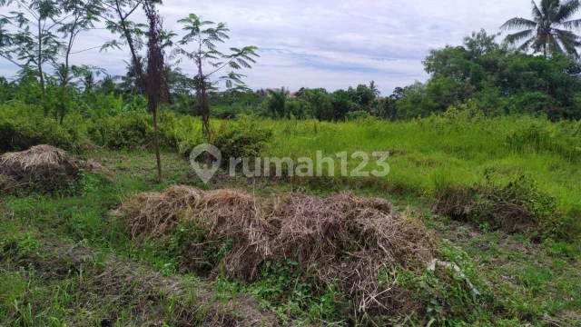 Tanah view lembah jungle sawah keren Tanah view lembah jungle sawah keren