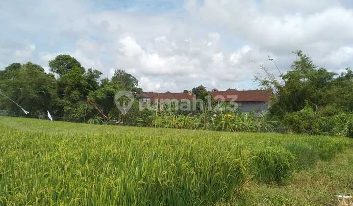 Tanah Canggu Dikelilingi View Sawah Dekat Jalan Raya