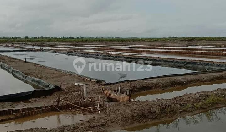 Lahan Murah Cocok Untuk Tambak