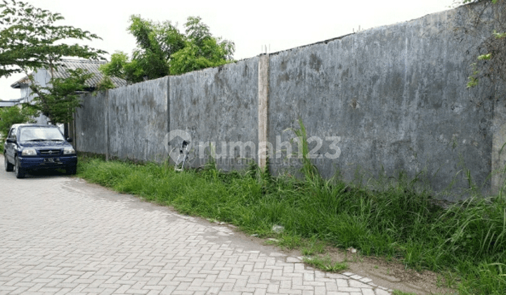 Tanah Komersial Putat Lor Hanya 150 Meter Dari Raya Domas Gresik