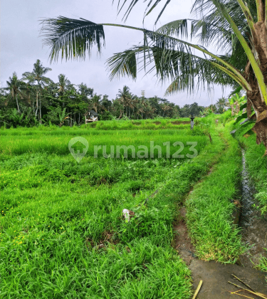 Tanah siap bangun villa/ kavling view abadi