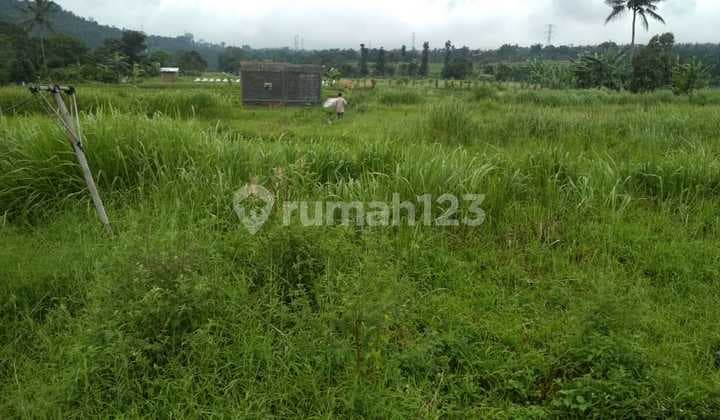 Land 7 Hectares on Jl. Raya Cipanas, Cianjur